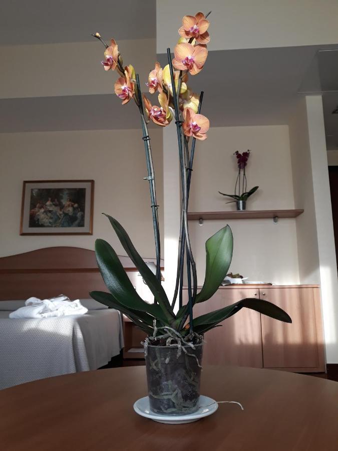 Hotel Il Duca D'este Ferrara